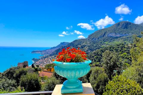 Villa i Roquebrune-Cap-Martin, Alpes-Maritimes, Roquebrune-Cap-Martin - € 2.800.000 | Ref: villag - foto 2